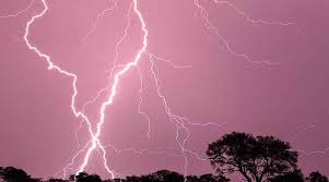 باجوڑ ، منڑو جنگل کگہ میں آسمانی بجلی گر نے سے 2 افراد شدید زخمی 