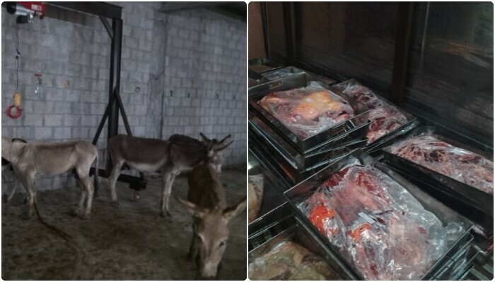 گدھے ذبح کرنے کیلئے قصائی بیرون ملک سے بلوایا گیا
