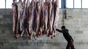 پنجاب سے پشاور 