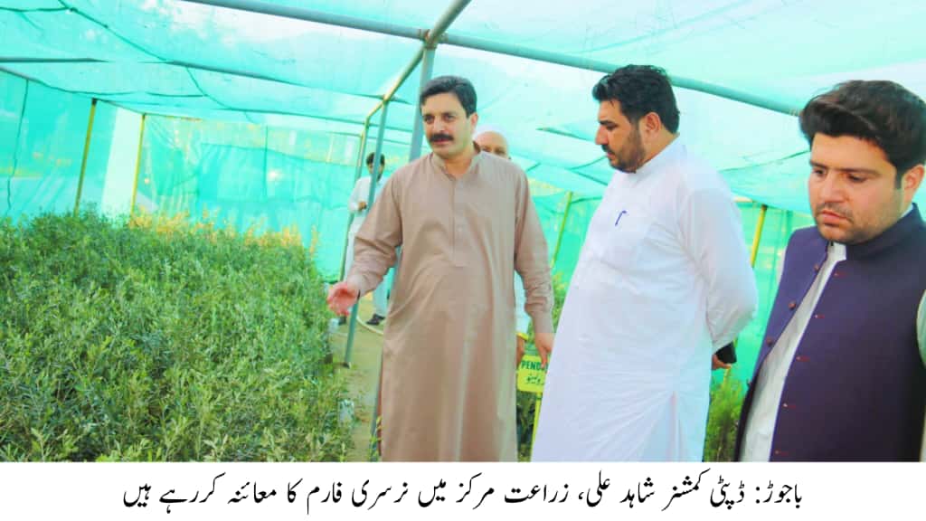 ڈپٹی کمشنر باجوڑ کا زرعی مراکز کا معائنہ، جدید ٹیکنالوجی سے پیداوار بڑھانے کا عزم