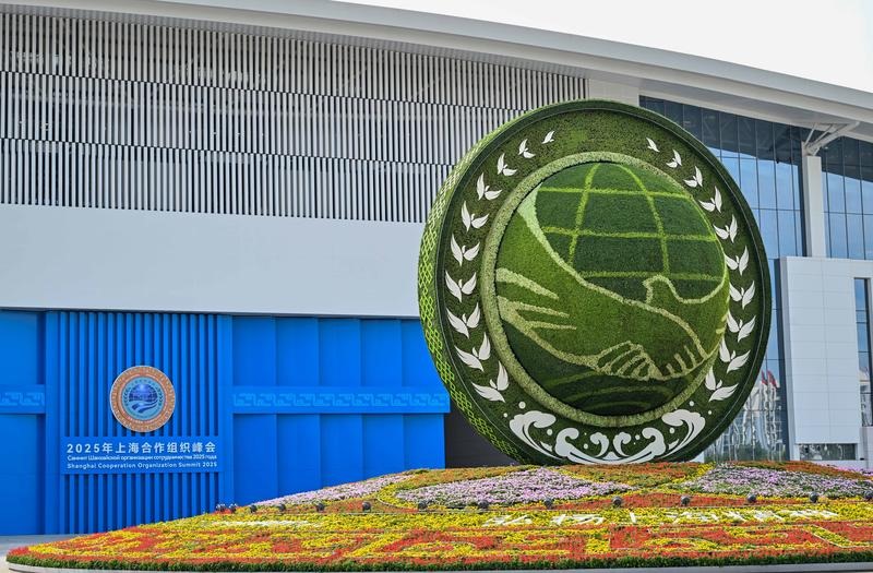 عالمی نظم ونسق اقدام غیر یقینی دنیا میں استحکام پیدا کر رہا ہے، پاکستانی ماہر