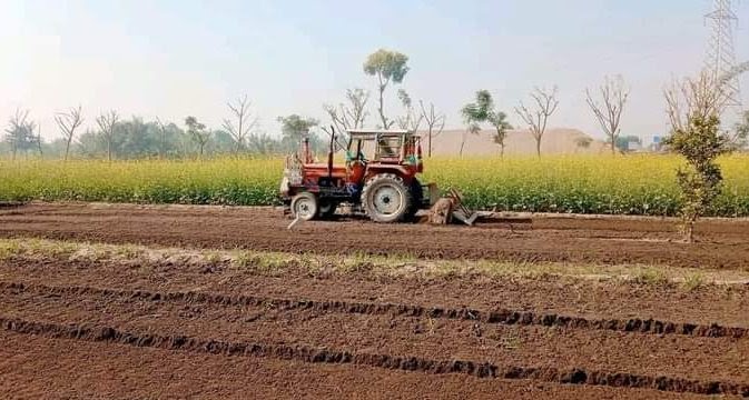خیبرپختونخوا میں زراعت کی ترقی کے وسیع امکانات موجود ہیں، ضم شدہ اضلاع پر خصوصی توجہ دی جائے، وزیر زراعت