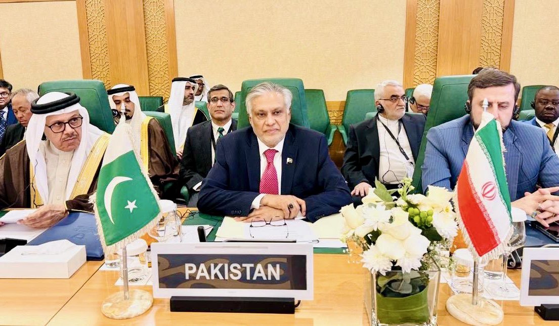 اقوام متحدہ میں اسرائیل کی رکنیت معطل کرائی جائے، پاکستانی نائب وزیراعظم