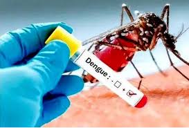 پشاور شہر میں بے قابو ڈینگی کی وبا نے کئی افراد کو اپنی لپیٹ میں لے لیا 