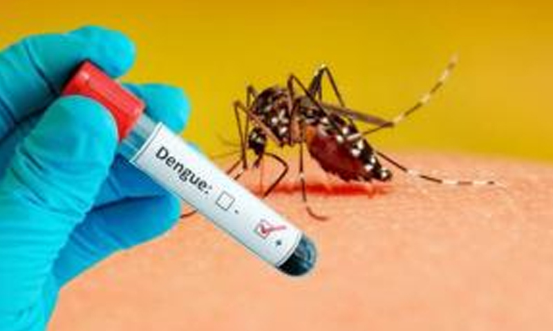 خیبرپختونخوا میں ڈینگی بے قابو، درجنوں کیسز کی تصدیق ہوگئی