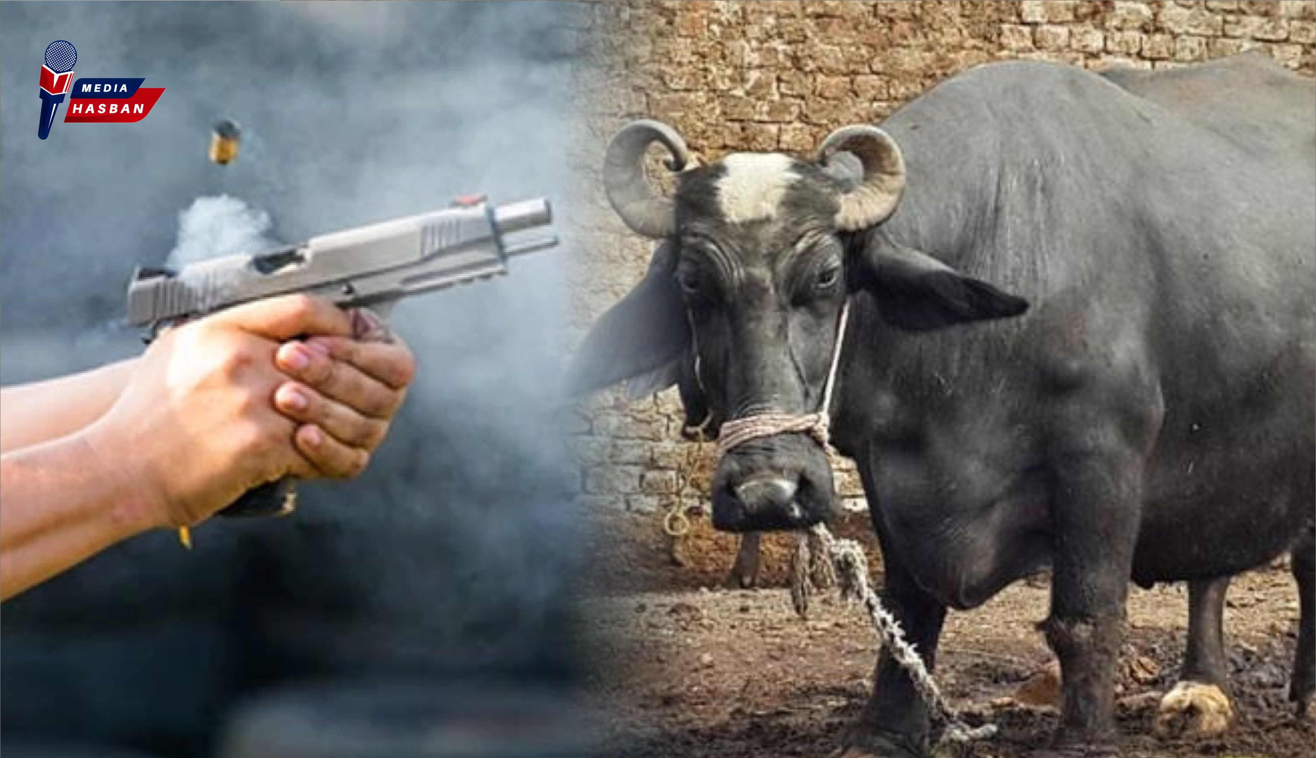 بھینس کی چوری نے دو جانیں لے لیں۔