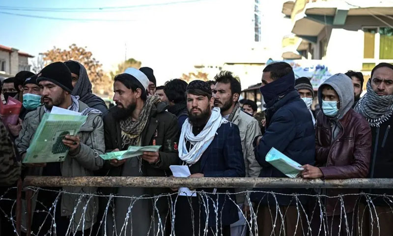  صوبے بھر میں  افغان مہاجرین کی جائیدادوں کا ریکارڈ ڈپٹی کمشنرز سے طلب کر لیا گیا ہے