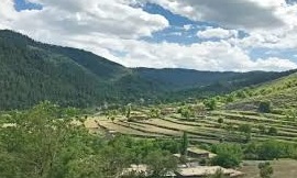 وادی تیراہ میں کرفیو نافذ کرنے کا فیصلہ 