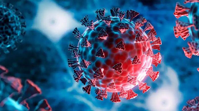 کو رونا جیسے انفلو نے بیرونی ممالک میں تباہی مچادی،پاکستان میں سپر فلو انفلوئنزا کی موجودگی کا انکشاف