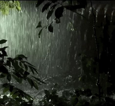 25 مارچ تک موسم کا پلٹا، بارشیں، آندھیاں اور ژالہ باری،کن علاقوں میں کیا ہوگا؟ 