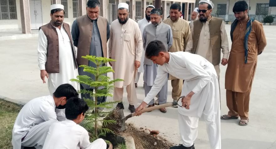 باجوڑ کے سرکاری اسکولوں میں موسم بہار  شجرکاری مہم، طلبہ نے پودے لگا کر ماحول دوستی کا پیغام دیا