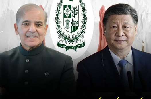 پاکستان نے ہمیشہ خود مختاری کا بھر پور دفاع کیا، چینی صدر