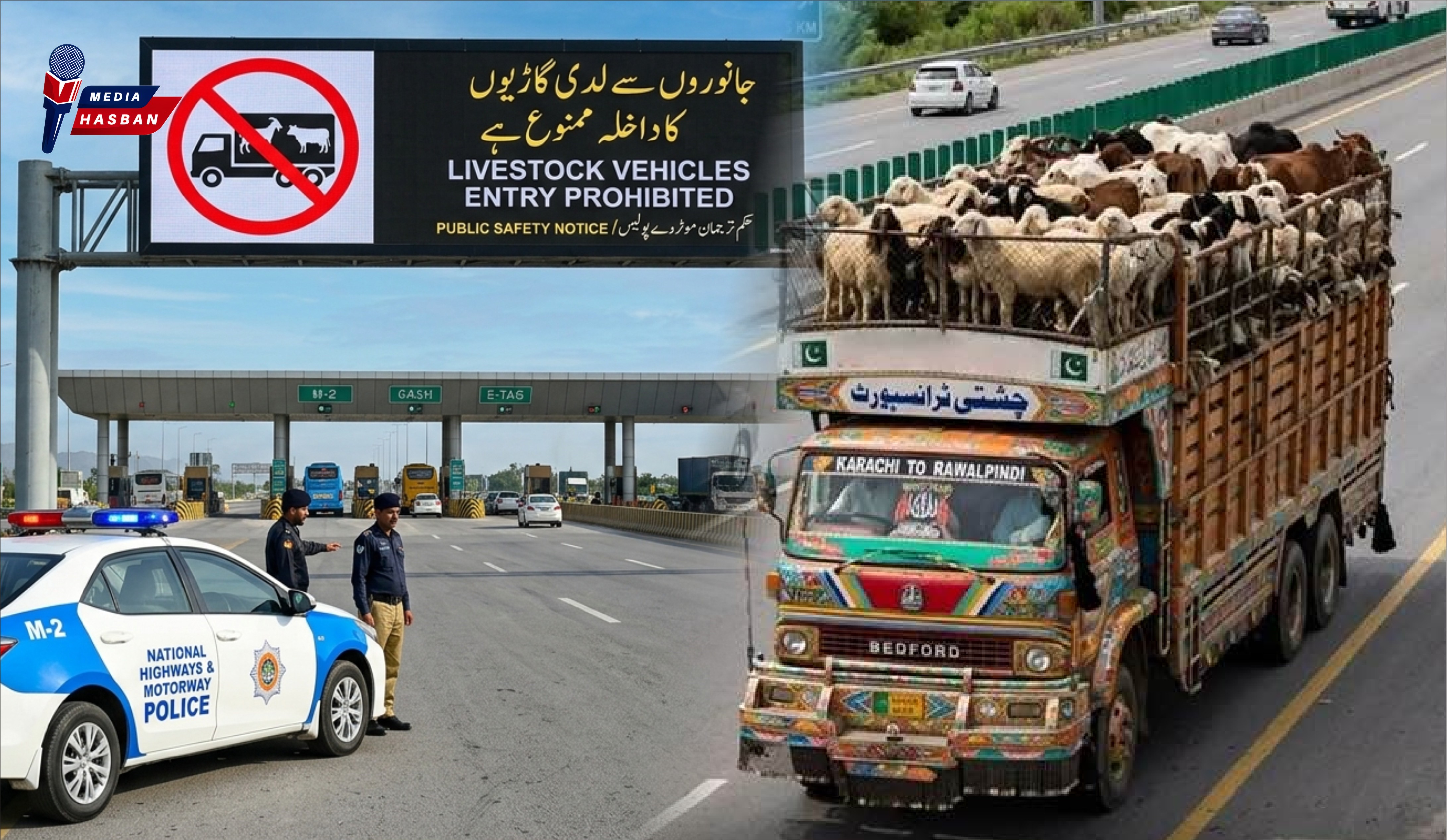 موٹروے پولیس کا بڑا فیصلہ: موٹرویز پر جانوروں سے لدی گاڑیوں کے داخلے پر مکمل پابندی عائد۔