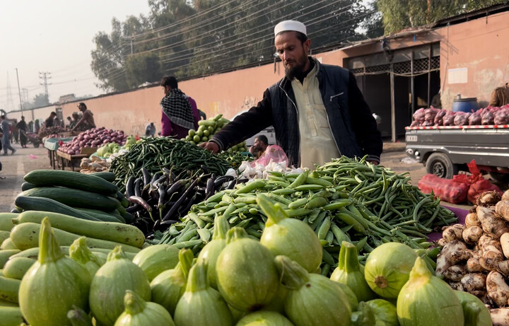 ریڑھی بانوں کو ہراساں کرنا اور رشوت طلب کرنا سنگین جرم قرار۔