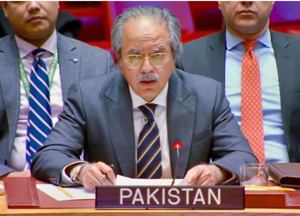 ای ون منصوبہ آزاد فلسطینی ریاست کے قیام کی راہ میں بڑی روکاوٹ ہے،اسرائیلی آبادکاری پر پاکستان کا بڑا مؤقف، عالمی برادری سے فوری اقدام کا مطالبہ
