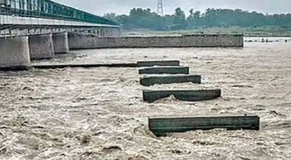ہیڈ پنجند پر خطرے کی گھنٹی! دریائے چناب میں پانی کی سطح بلند، نشیبی علاقوں سے انخلا شروع