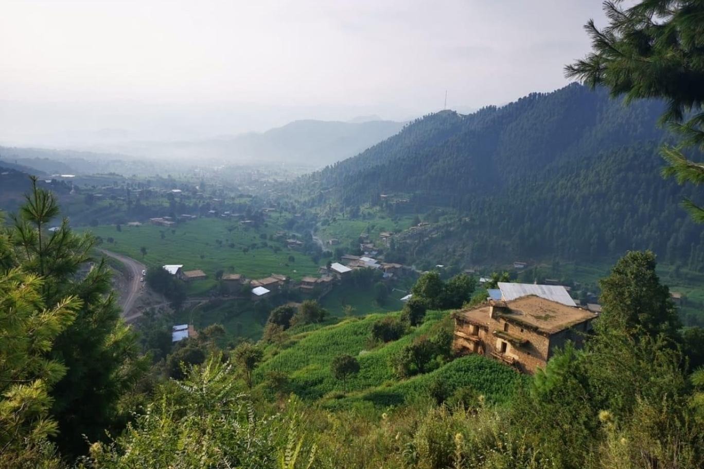 پشاور ہائی کورٹ کا جنوبی وزیرستان کے تعلیمی کوٹے پر اہم فیصلہ