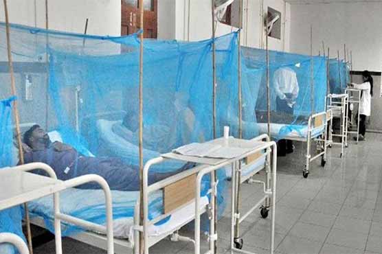 خیبر پختونخوا میں ڈینگی کیسز میں مسلسل اضافہ؛ مریضوں کی مجموعی تعداد 289 سے بڑھ کر 339 ہو گئی۔