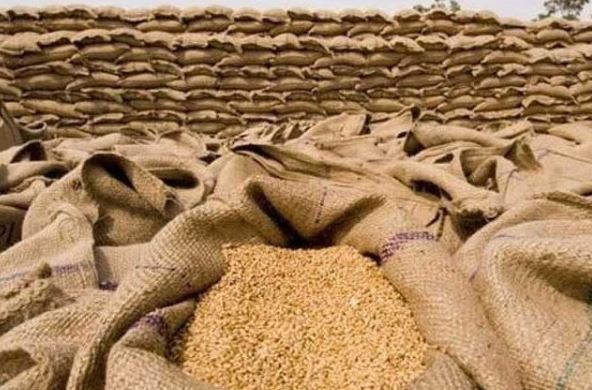 حکومت کا 7 لاکھ 50 ہزار ٹن گندم درآمد کرنے کا فیصلہ،  ٹریڈنگ کارپوریشن آف پاکستان نے عالمی سطح پر خریداری کے لیے ٹینڈر جاری کردیا 